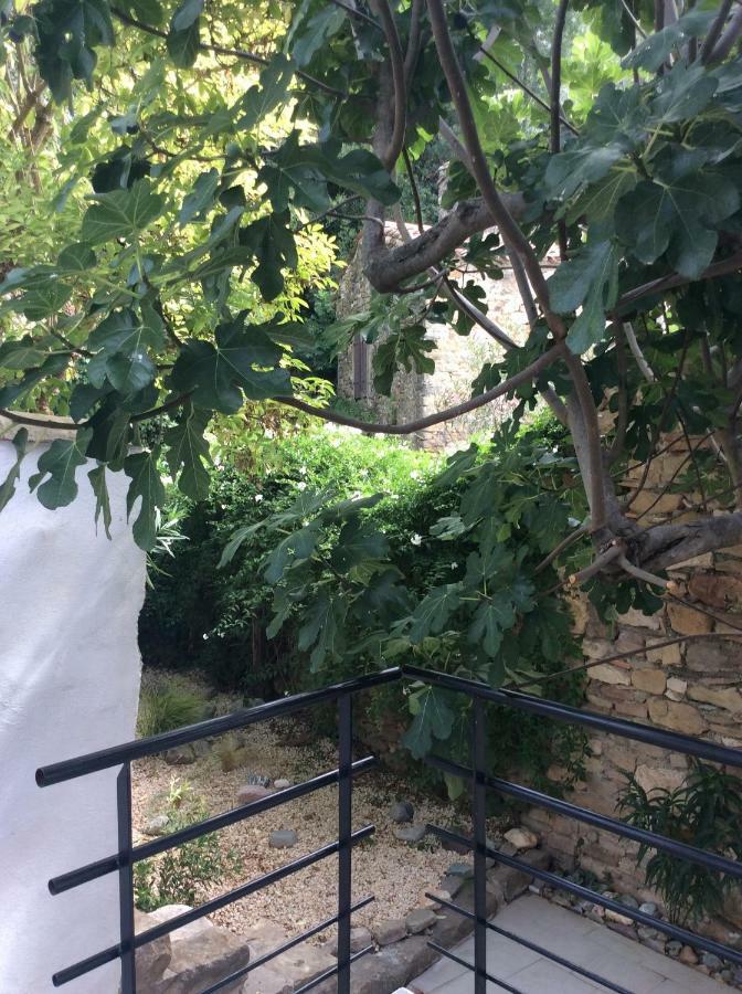 Maison Ancienne Minervois La Caunette Екстериор снимка