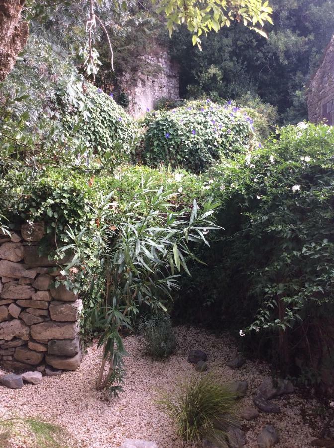 Maison Ancienne Minervois La Caunette Екстериор снимка