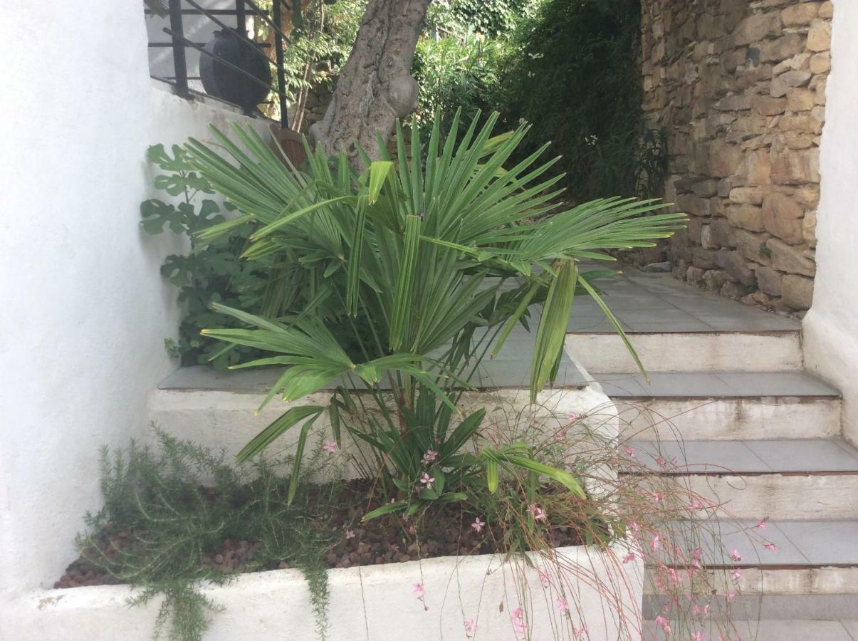Maison Ancienne Minervois La Caunette Екстериор снимка