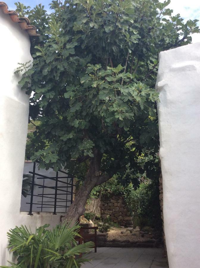 Maison Ancienne Minervois La Caunette Екстериор снимка